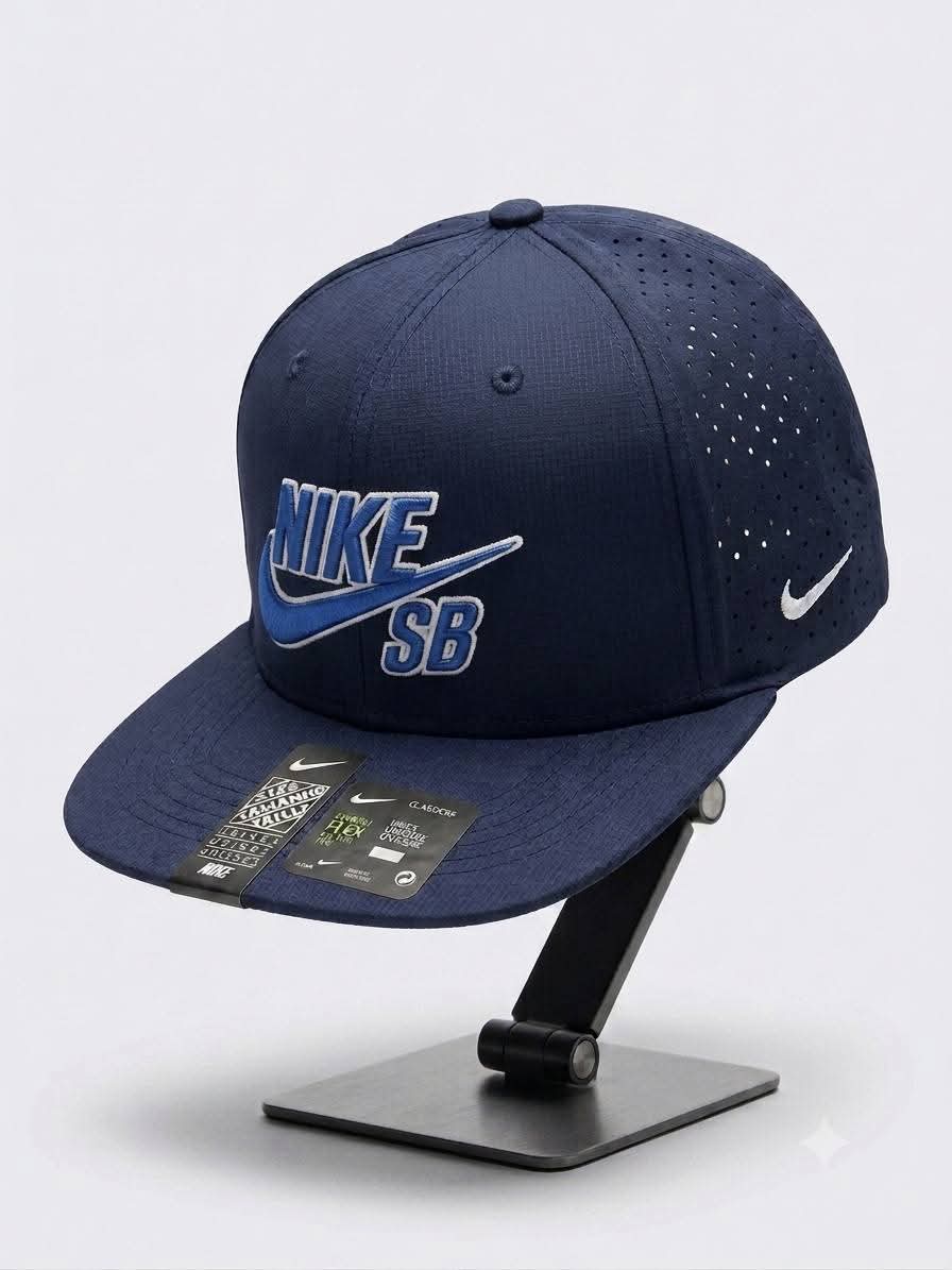 Nike sb blue plate